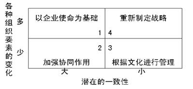 战略稳定性与文化适应性图