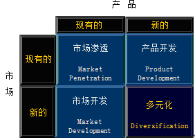 公司战略知识点