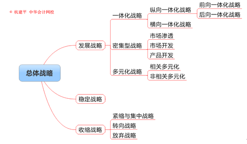 公司战略与风险管理知识点