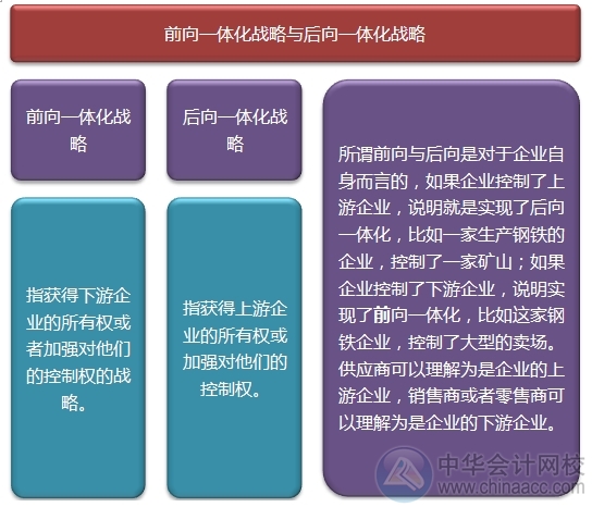 2015注会“借题发挥”战略篇：一体化战略