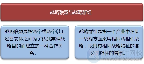 2015注会"借题发挥"战略篇：战略联盟