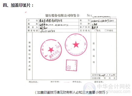 [图解开户流程]机关及实行预算管理的事业单位开立基本账户