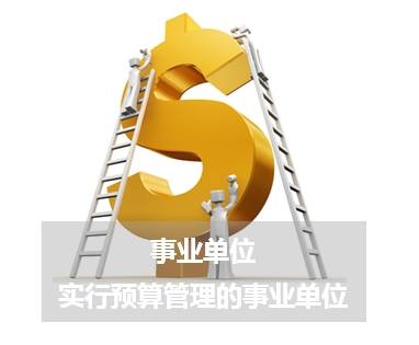 企业账户小课堂 基本账户开立（预算单位一）