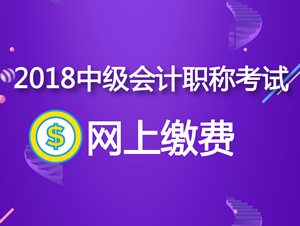 河北衡水2018中级会计职称考试网上缴费时间