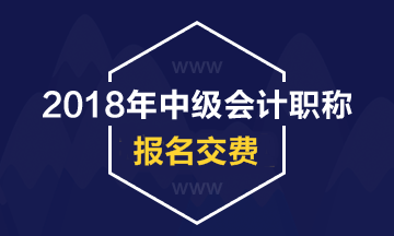 2018年吉林省中级会计职称现场缴费及收费标准